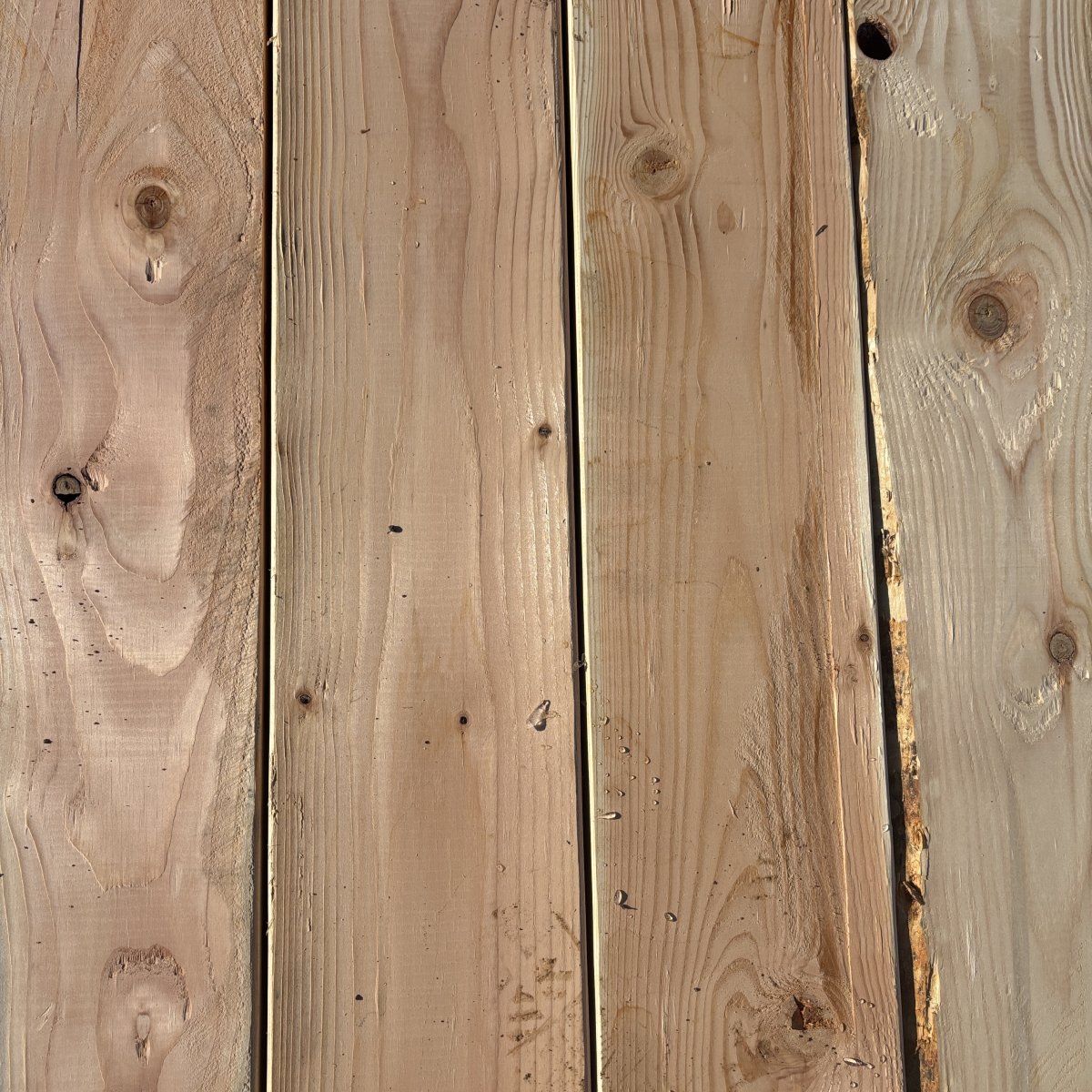 Top-down view of Douglas Fir wood texture on 2×8 #2 kiln-dried lumber showing grain pattern and surface detail