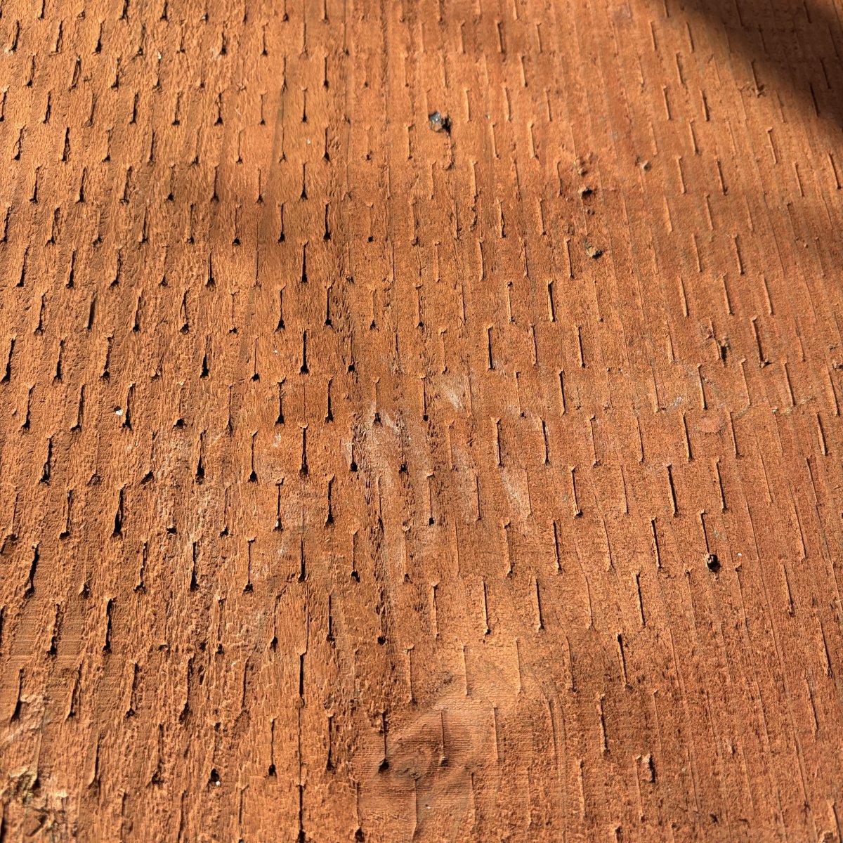 Close-up of incised surface on 2x ground contact pressure-treated #2 fir lumber (CAC treated)